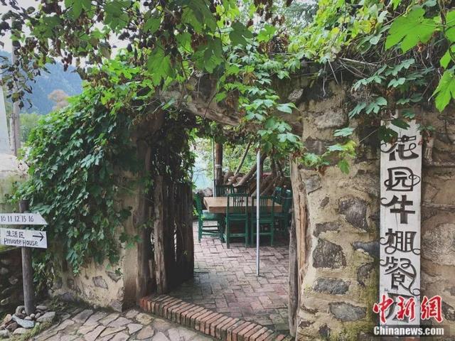 这对60后夫妻隐居山林16年，过着人们最“向往的生活”