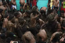 印度南部村庄举行一年一度“泼粪节”，互扔牛粪狂欢图片