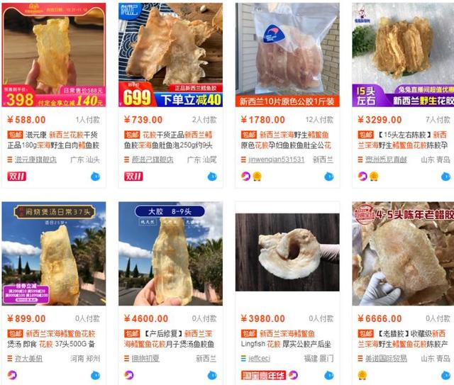 哪里可以买到好的花胶 2026年哪里可以买到正宗的花胶