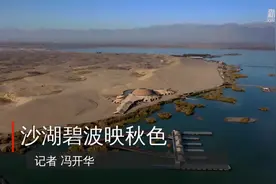 沙湖碧波映秋色视频封面
