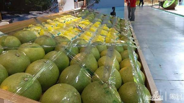 花胶在哪里买得到 2026年花胶在哪里买得到呢