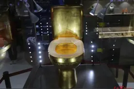 “镶嵌最多钻石的马桶”创世界吉尼斯记录 灵感来自刘德华的《马桶》图片