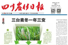 四川发现濒危野生植物长圆叶山黑豆图片