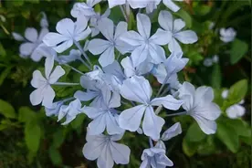 致自己生活努力奋斗的句子，很燃很励志图片