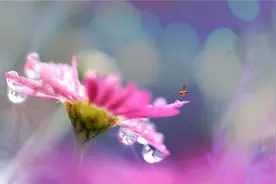 年轻时候没有梦想，就好比童年时候没有童话一样图片