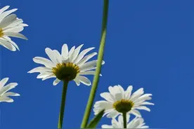 这样发朋友圈，真令人讨厌，你发过吗？图片