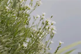 人生路上，要学会善待他人，也要懂得善待自己 早安图片