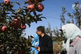 科技特派员赵顺山：帮助农民把果树变成“摇钱树”视频封面