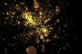 越睡越累可能是“枕头”的错！这几种你要赶紧换掉