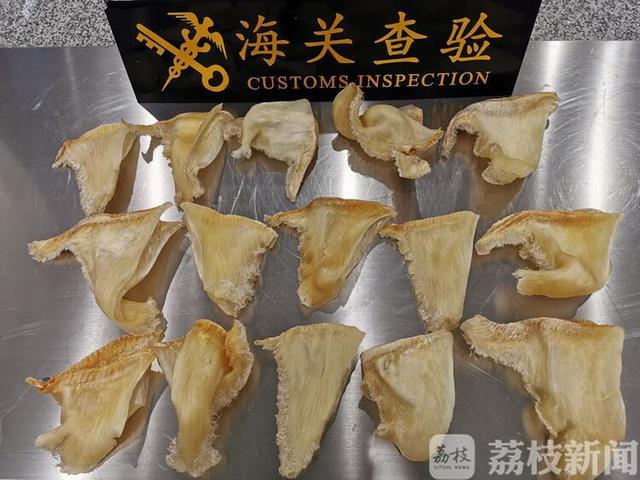 鱼翅 花胶 2026年鱼翅花胶煲鸡汤的做法