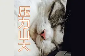 深圳今年要迎来“60年最冷冬天”？图片
