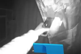 男子孵化鹦鹉卖钱，买卖双方均被刑拘