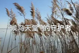 “候鸟天堂”的守护者