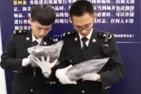 携带鹿尾进境不能“任性”