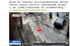 两女子酒后盗走店门口秋田犬：实在太可爱没忍住图片