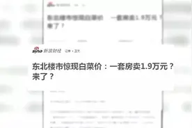 鹤岗1.9万一套房？他揣着2万，跨越3780公里去买房图片