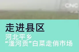 走进县区| 河北平乡“滏河贡”白菜走俏市场视频封面