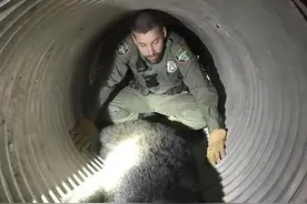 美国女子自家院中睡着，突被野熊咬腿，拿笔记本电脑反击图片