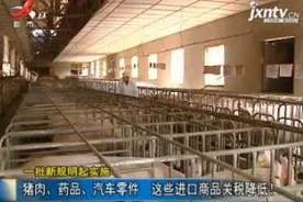 一批新规2020年1月1日起实施 这些进口商品关税降低！视频封面