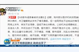 武汉出现多例不明原因肺炎,政府出手了！8名散布谣言者被依法查处
