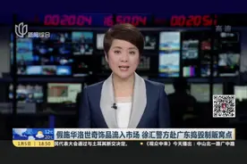 这是假的！假施华洛世奇饰品流入市场，警方赴广东捣毁制贩窝点视频封面