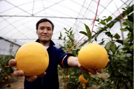 开心农场创始人回来了！与阿里巴巴共建数字农场图片