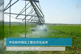 中国财富报道 | 中化和中国化工整合农化业务 央企整合新年打响“第一枪”视频封面