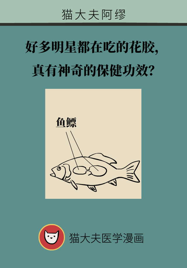 花胶好处 2026年花胶好处与作用 花胶好处 2026年花胶好处与作用