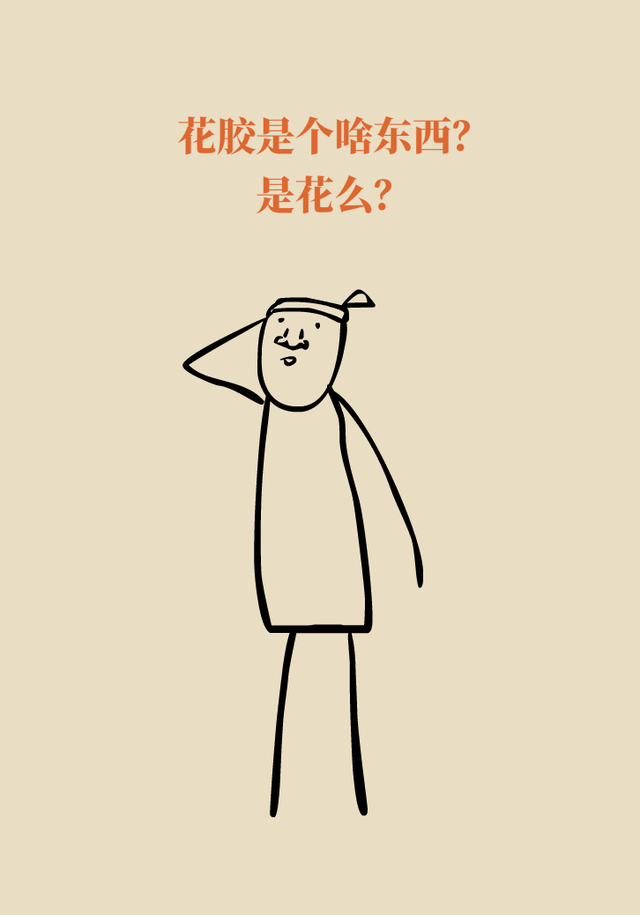 花胶好处 2026年花胶好处与作用