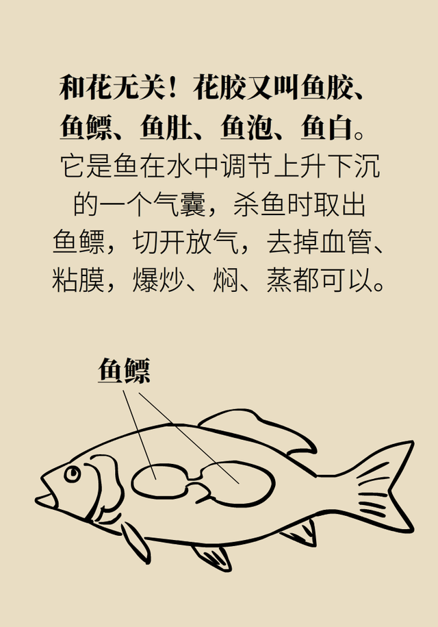 请问花胶作用 2026年花胶作用功效及吃法 请问花胶作用 2026年花胶作用功效及吃法