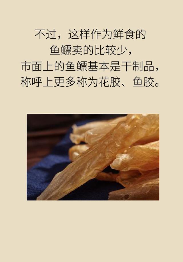 花胶好处 2026年花胶好处与作用