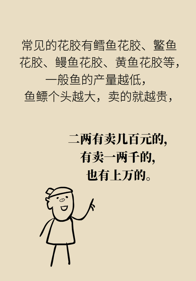 花胶花胶有什么功效 2026年花胶功效真的有那么好吗?