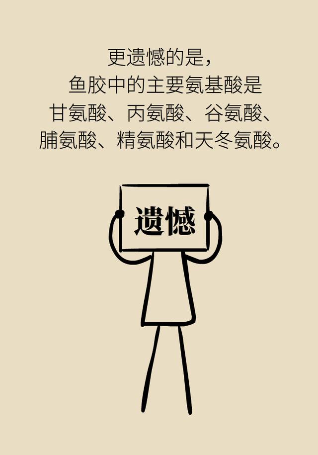 花胶好处 2026年花胶好处与作用