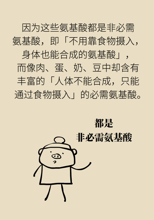 花胶好处 2026年花胶好处与作用