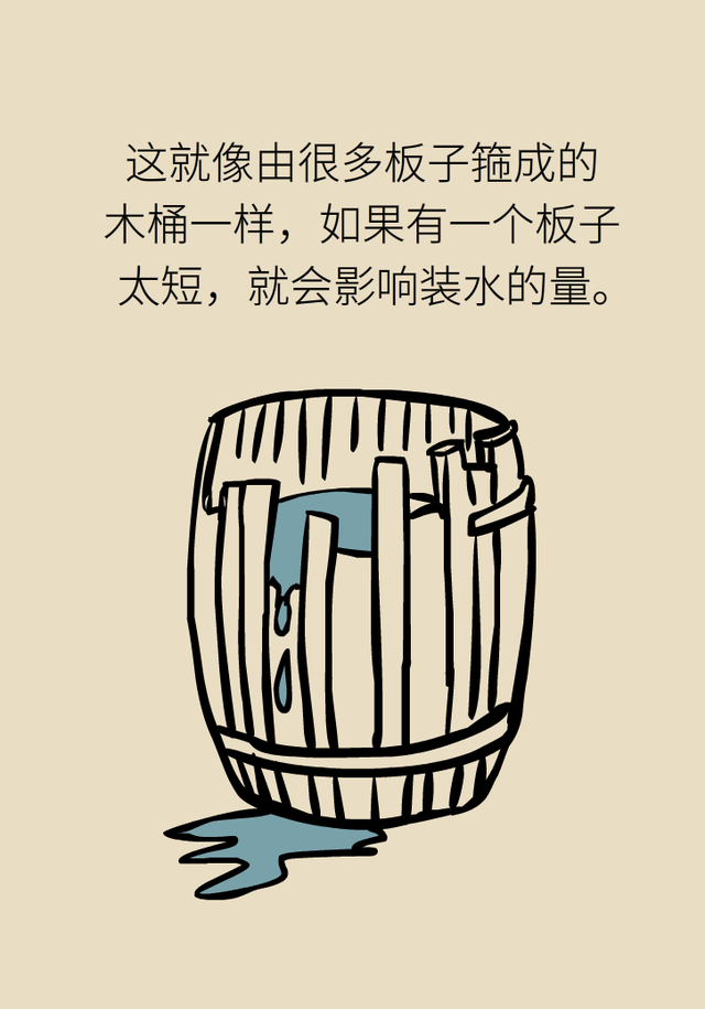 花胶花胶有什么功效 2026年花胶功效真的有那么好吗? 花胶花胶有什么功效 2026年花胶功效真的有那么好吗?
