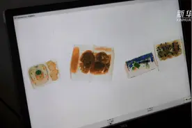 航空小知识系列之四：鲜活易腐行李如何运输？视频封面