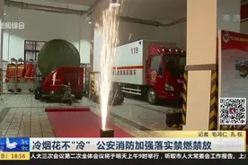 冷烟花不“冷”  公安消防加强落实禁燃禁放