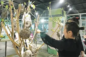 室内动物园悄然兴起图片