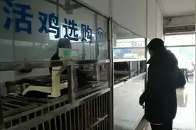 上海市民逛活禽市场：担心，但还是要吃的视频封面