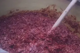 【美食年味】龙抄手