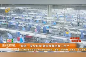 【直播连线】阳谷：安全科学 新凤祥集团复工生产视频封面