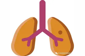 「综述」外泌体在肺部疾病中的研究进展图片