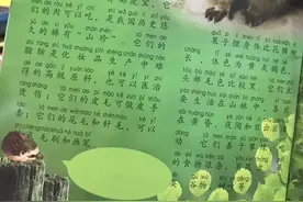 果子狸浑身是宝可以吃？儿童书籍中出现不当表述 出版社：已通知全面下架图片
