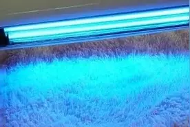 眼科专家提醒：用紫外线灯在家消毒，当心伤了眼睛！图片