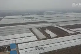 河南内黄：防疫春耕两不误视频封面