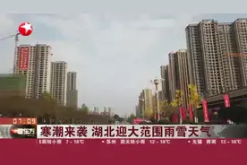 寒潮来势汹汹！湖北迎大范围雨雪天气，武汉将遇断崖式降温视频封面