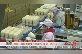 【战疫情 稳就业】德州：雪榕生物复工率80% 急缺一线工人视频封面