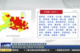 湖北首次发布疫情风险等级评估报告，武汉13区仍有12个高风险地区视频封面