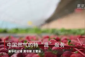 中国燃气的特“蔬”服务视频封面