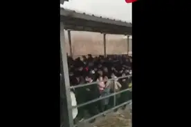 河南新乡宝泉景区拥挤不堪，景区回应：瞬时入园人数众多导致，消毒措施到位视频封面